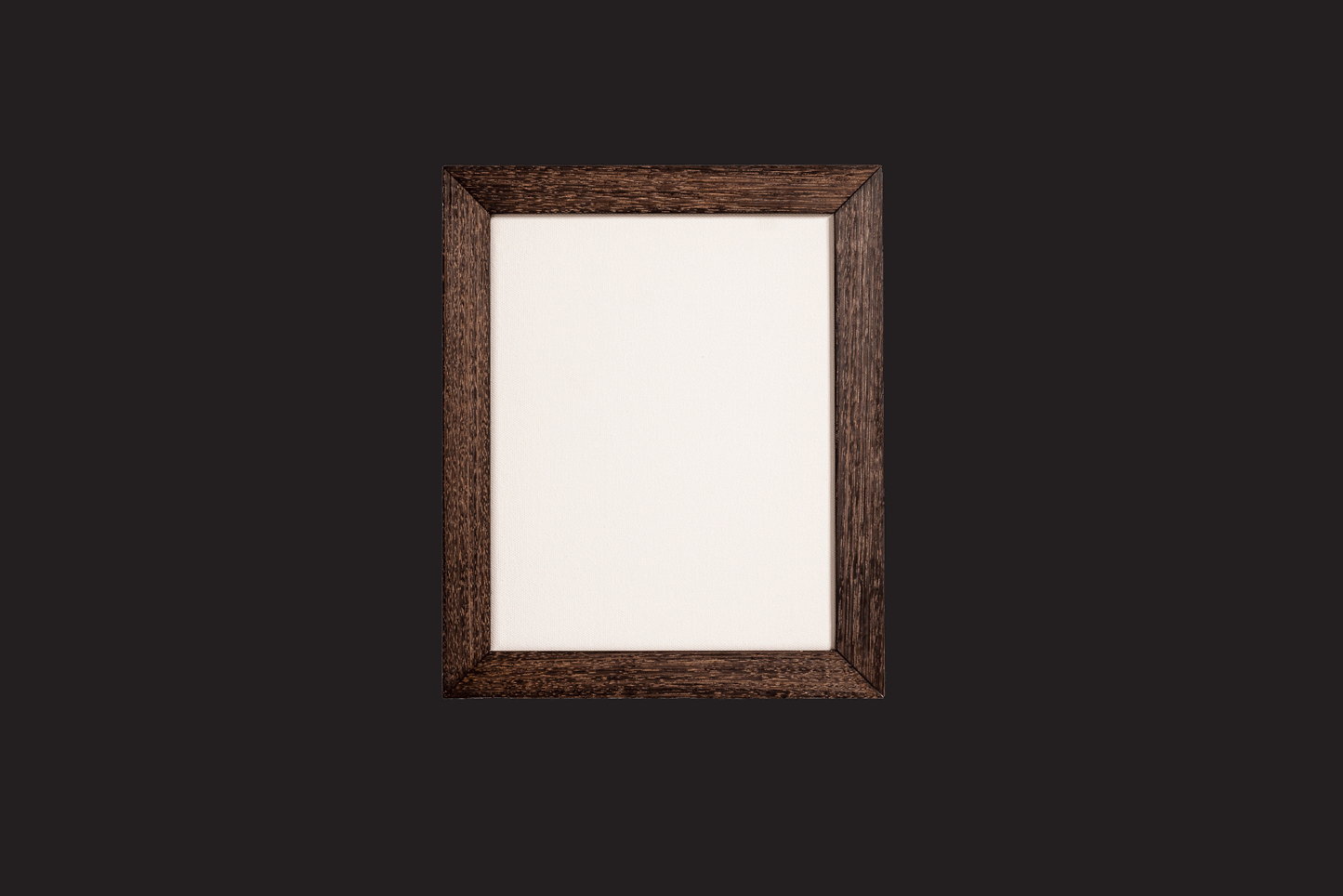 D.I.Y Framing Kit (Lrg)